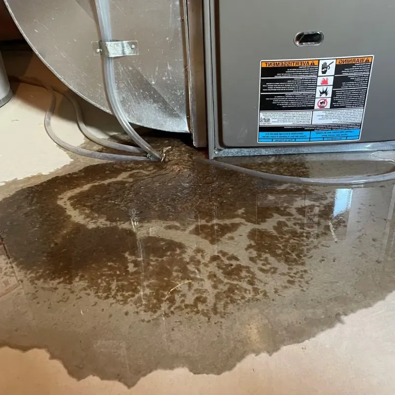 Pipe Burst and Leak Restoration in Freeport, IL