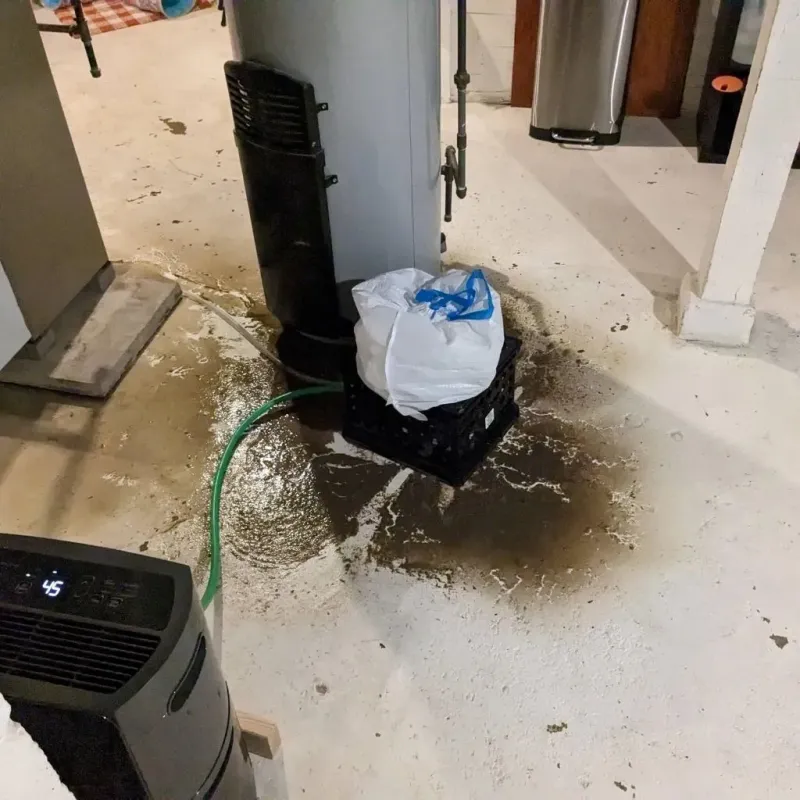 Sewage Backup Cleanup Service in Freeport, IL